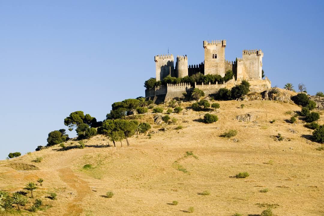 Castillo Sohail
