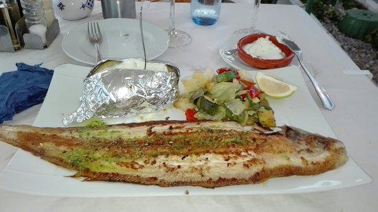 La Blanca Paloma