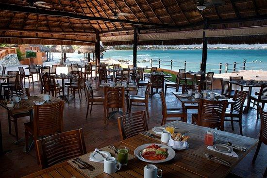 La Palapa