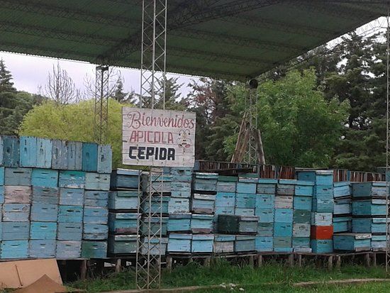 Apìcola Cepida