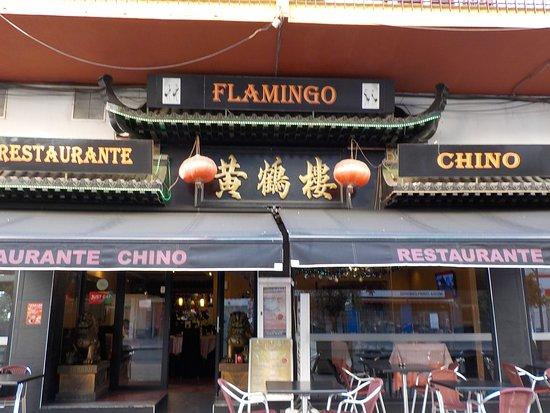 Flamingo