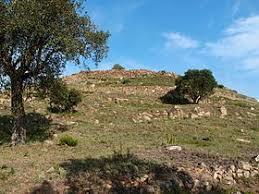 Castrum o Ciudadela visigoda del Puig Rom