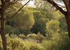 la Dehesa de Roche