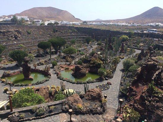 Jardín de Cactus
