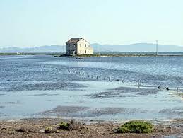 Salinas y Arenales de San Pedro del Pinatar