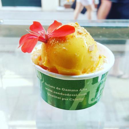 Capriccio Freddo