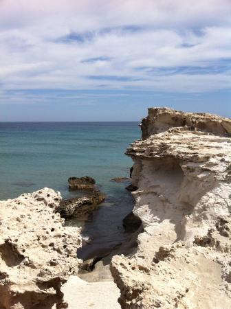 El Chaman Almeria