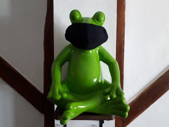 Frog & Co