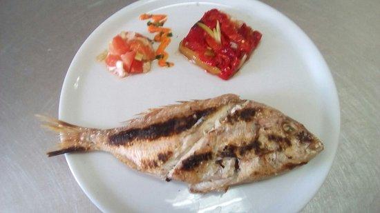 Pena Ecuestre Montijo "El Vazquito"