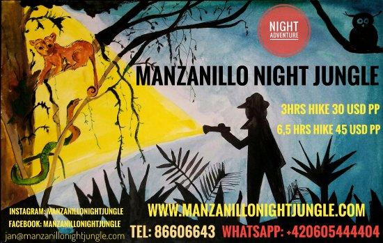 Manzanillo Night Jungle