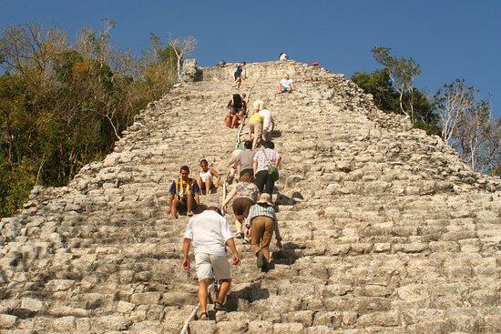 Kaupal Travel