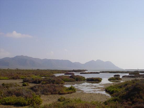 Las Salinas