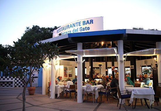Restaurante Terraza del Gato