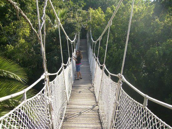 Las Águilas Jungle Park