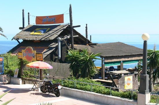 Blue Dolphin