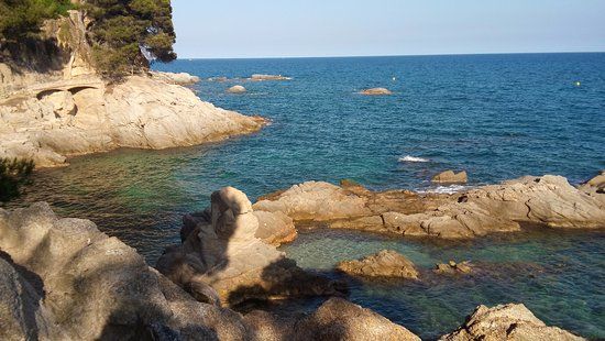 Camino de ronda