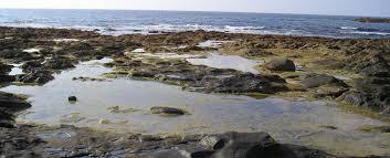 Playa el Apio