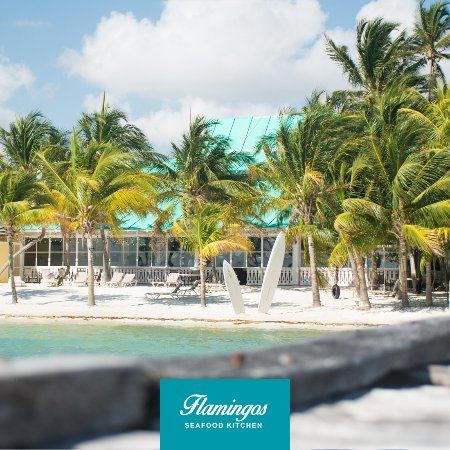 Flamingos Seafood Kitchen