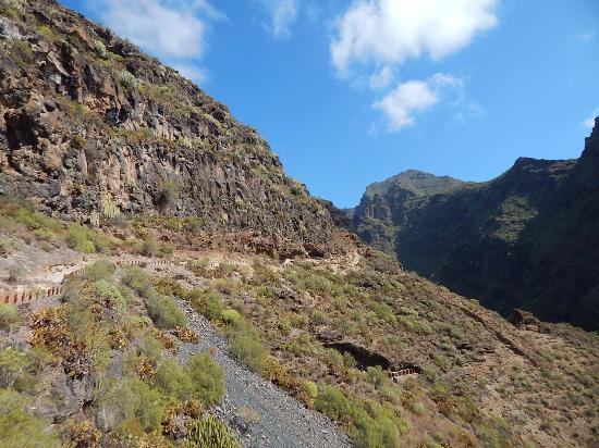 Reserva natural especial del Barranco del Infierno